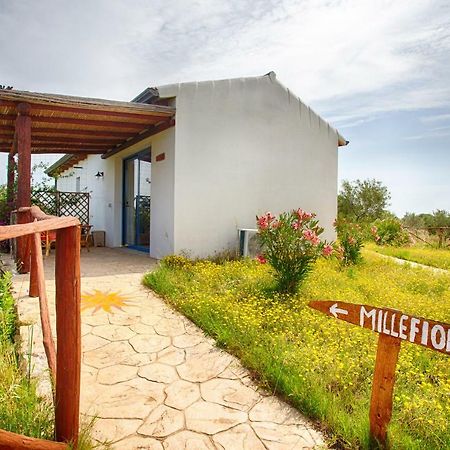 Agriturismo Mieleamaro Villa Olbia Buitenkant foto