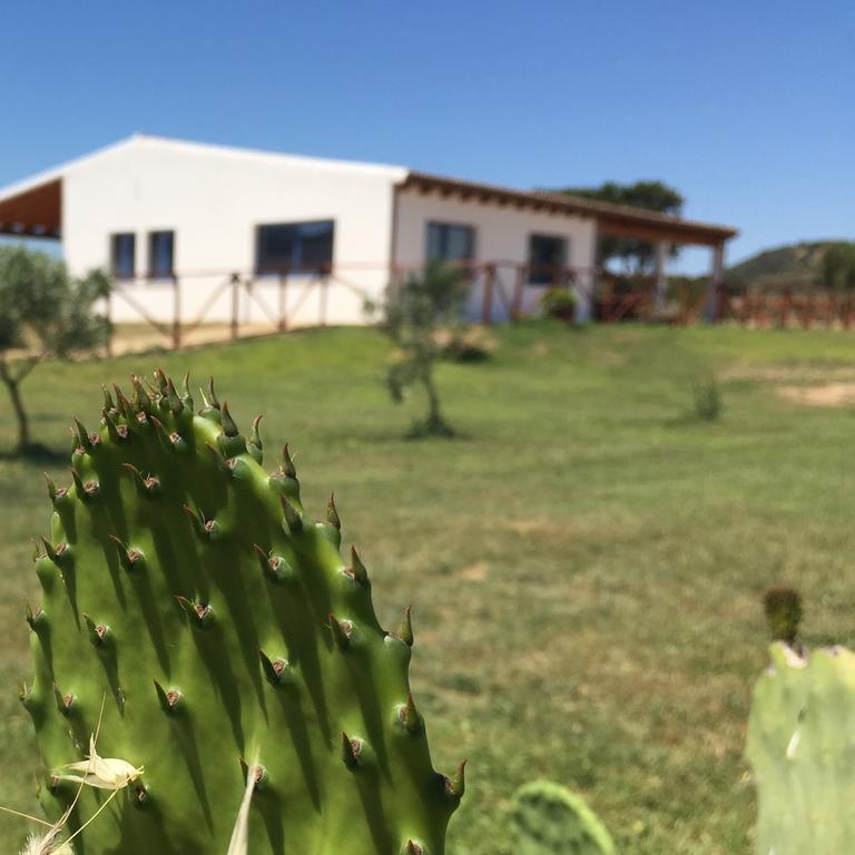 Agriturismo Mieleamaro Villa Olbia Buitenkant foto